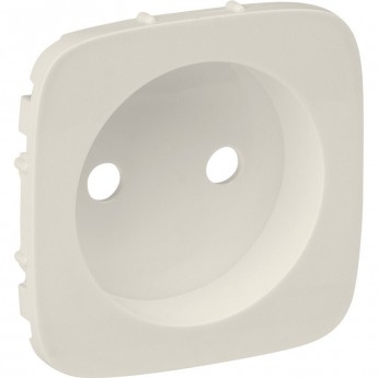 Лицевая панель силовой розетки LEGRAND Valena ALLURE 2К слоновая кость Лицевая панель силовой розетки LEGRAND Valena ALLURE 2К слоновая кость